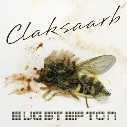 bugstepton CD cover web 500px